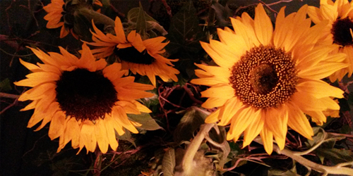 Herdenkingsbijeenkomst